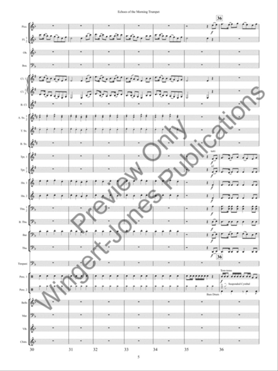 Echoes of the Morning Trumpet Concert Band scores gallery preview page 8