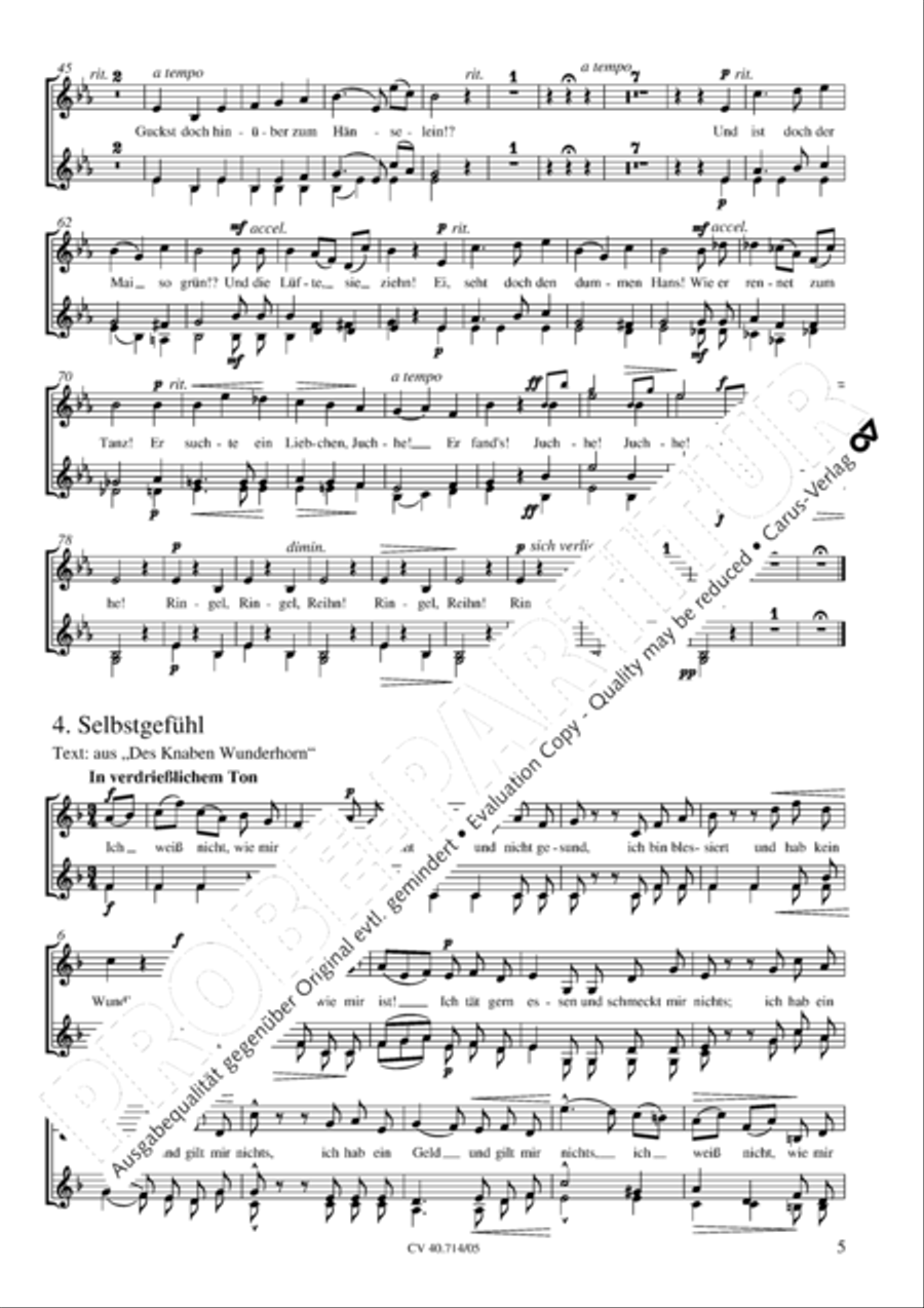 Sieben Lieder und Gesange (arr.)