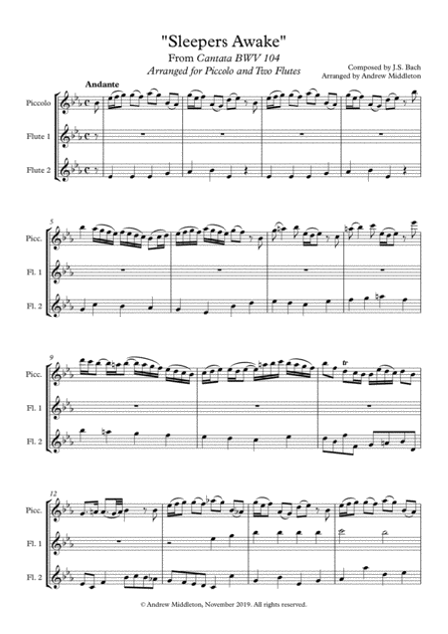 Sleepers Awake arrange for Piccolo and Two Flutes Woodwind Trio scores gallery preview page 1
