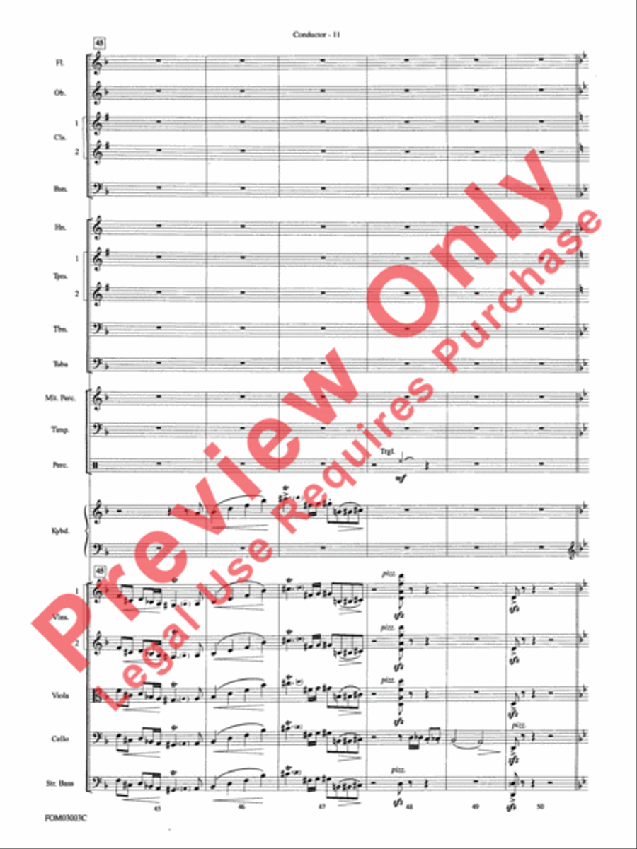 Harry Potter and the Chamber of Secrets, Themes from Full Orchestra scores gallery preview page 13