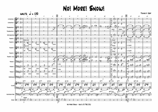No more snow! - Jazz Waltz - Big Band