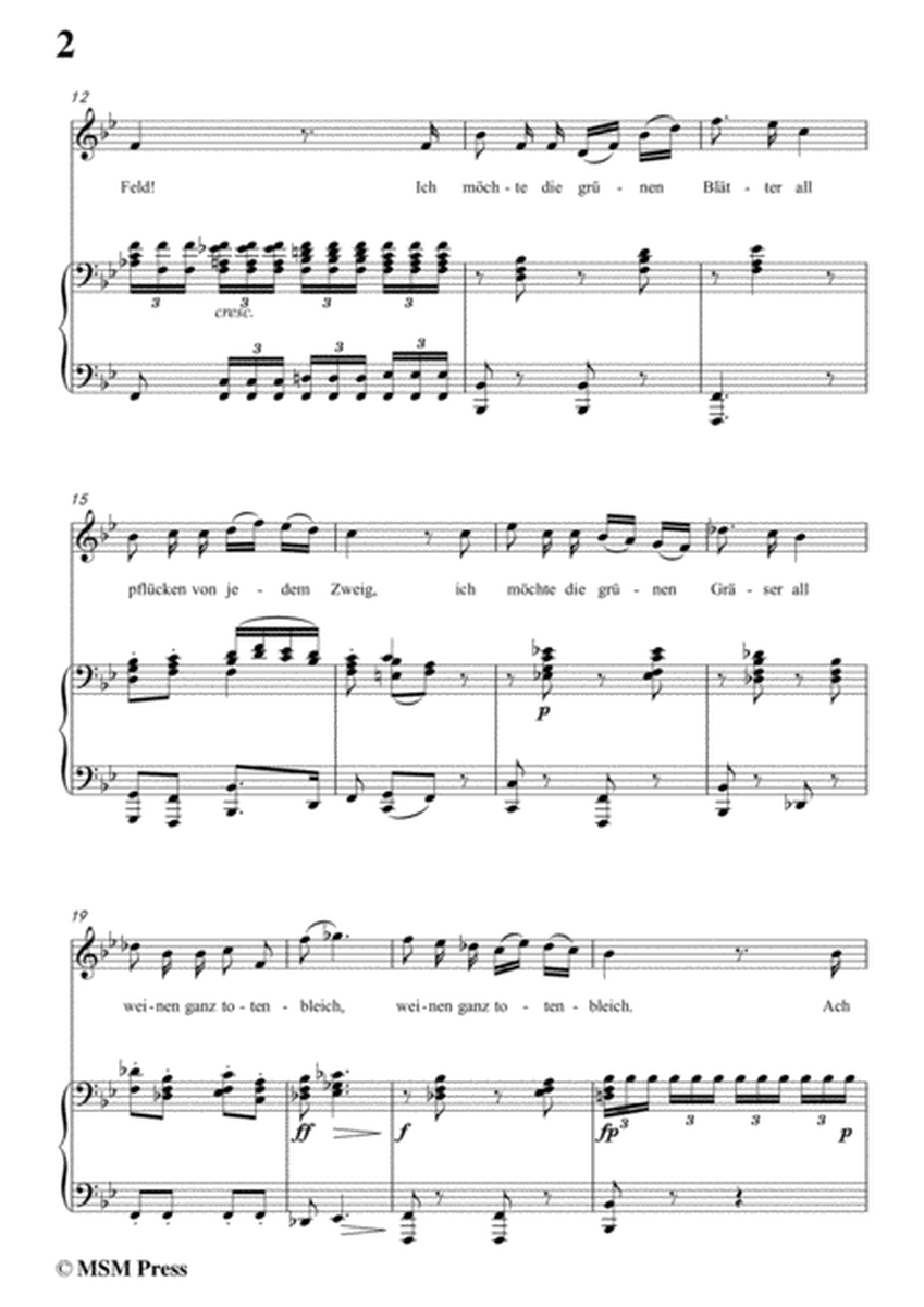 Schubert-Die böse Farbe,from 'Die Schöne Müllerin',Op.25 No.17,in B flat Major,for Voice&Piano image number null