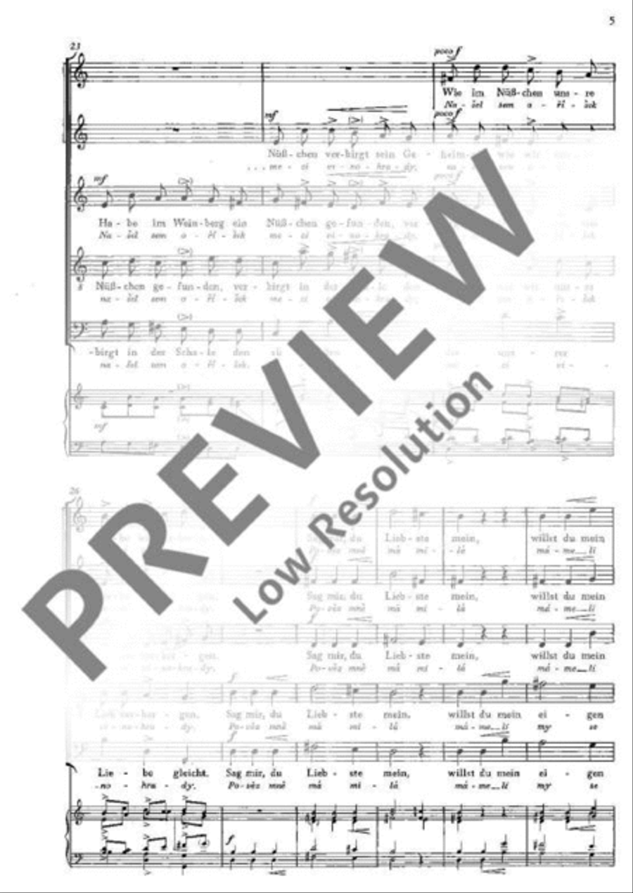Tschechische Madrigale · České madrigaly SSATB scores gallery preview page 6