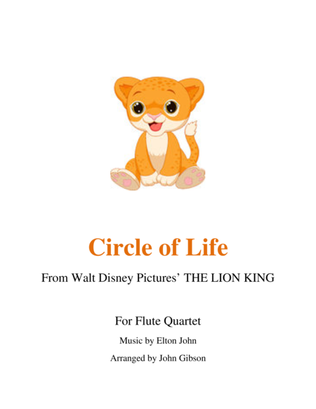 Book cover for Circle Of Life