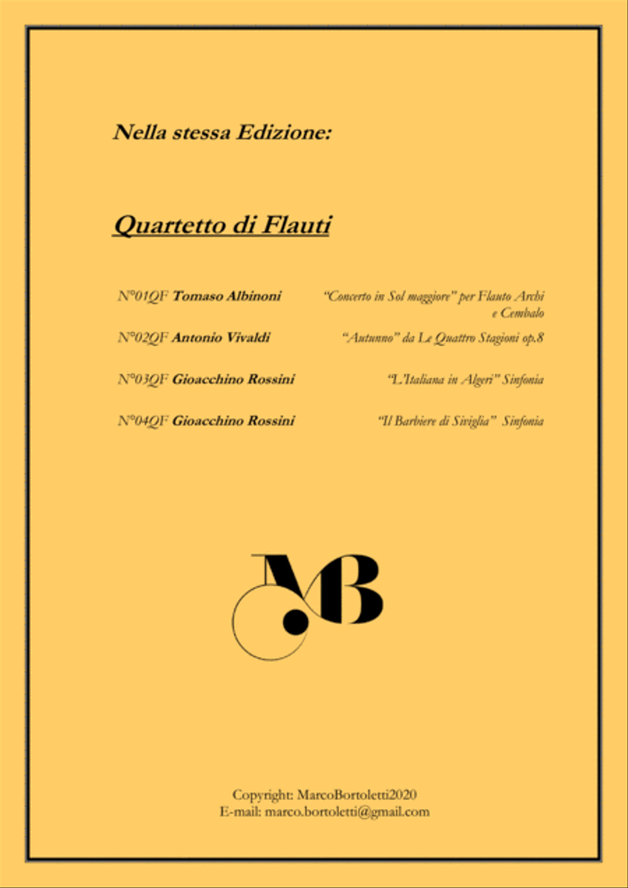Flute Quartet trascription (First Movement) from 