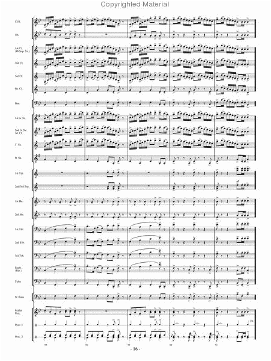 The Woodwind Polka Concert Band scores gallery preview page 15