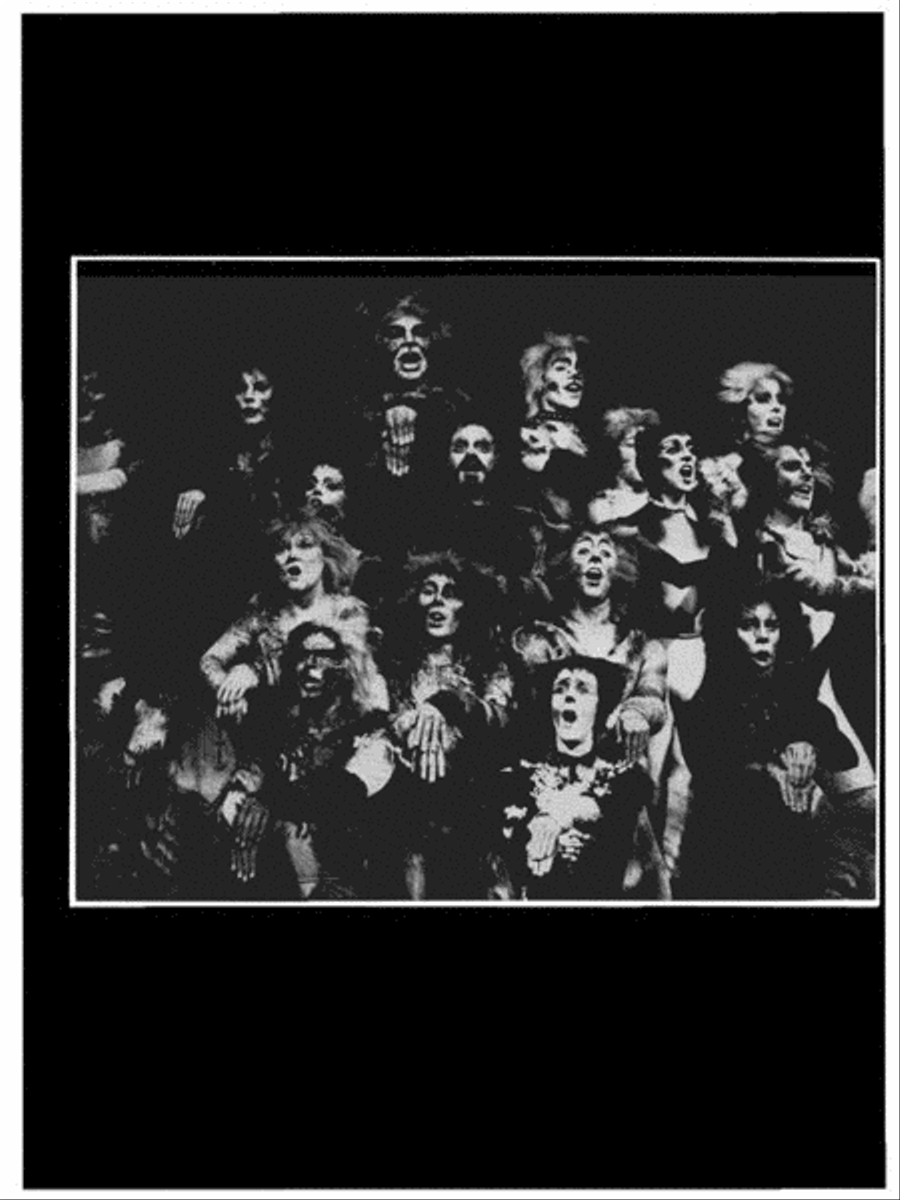 Cats Cats Piano, Vocal, Guitar scores gallery preview page 5