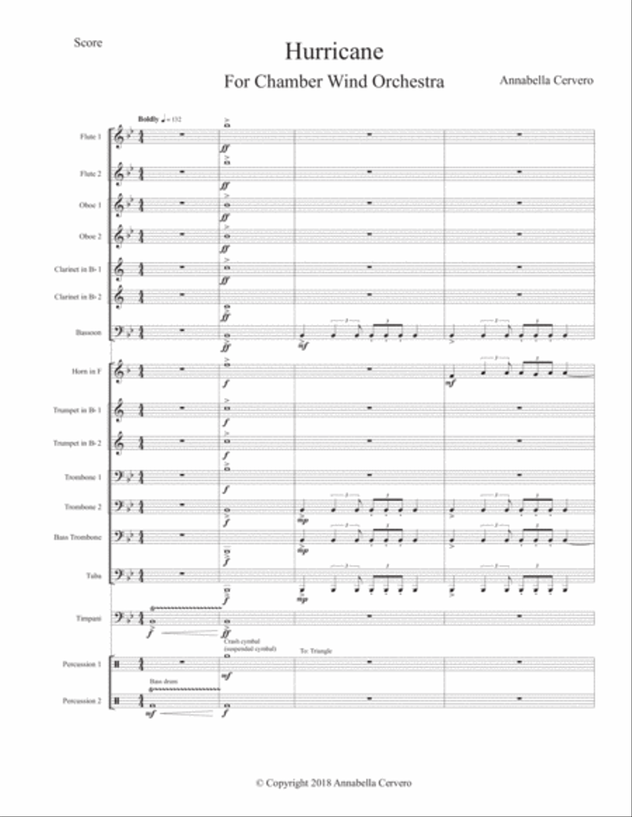 Hurricane, for wind orchestra Large Ensemble scores gallery preview page 3