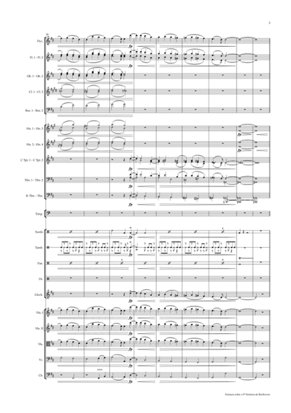 Beethoven's 9th Symphony on Samba Fantasy image number null