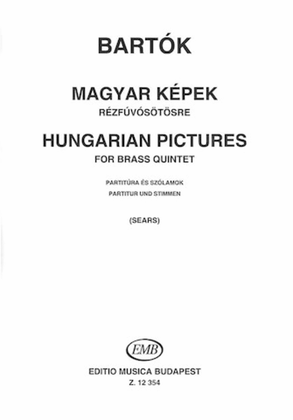 Book cover for Hungarian Pictures