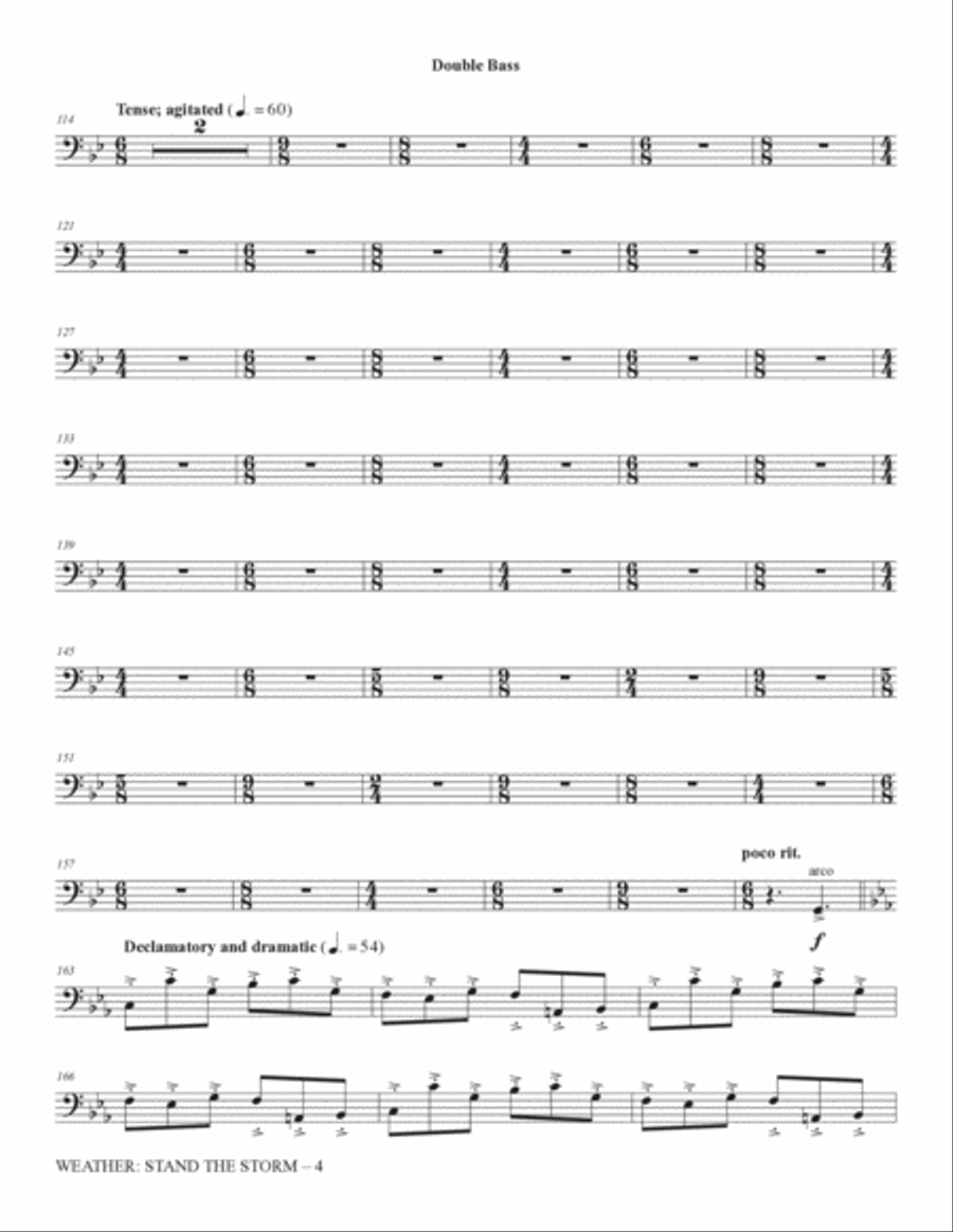 Weather: Stand The Storm (Chamber Ensemble) - Double Bass Choir scores gallery preview page 4