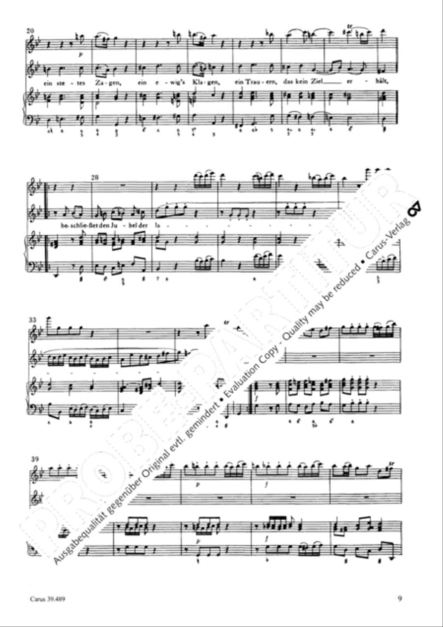 Lauter Wonne, lauter Freude Recorder scores gallery preview page 9