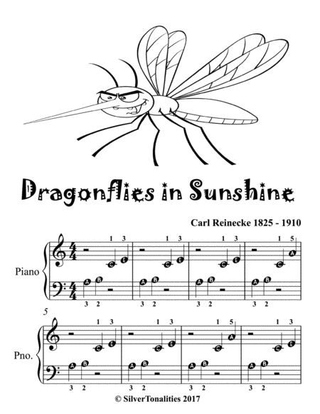 Dragonflies In Sunshine Beginner Piano Sheet Music 2nd Edition
