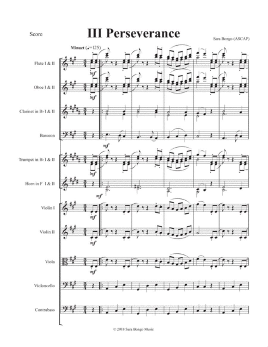 TRANSFORMATION SYMPHONY Movement III- PERSEVERANCE Chamber Orchestra scores gallery preview page 3