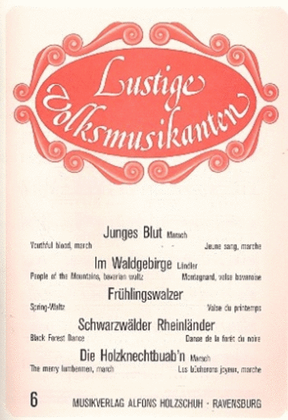 Book cover for Lustige Volksmusikanten 6