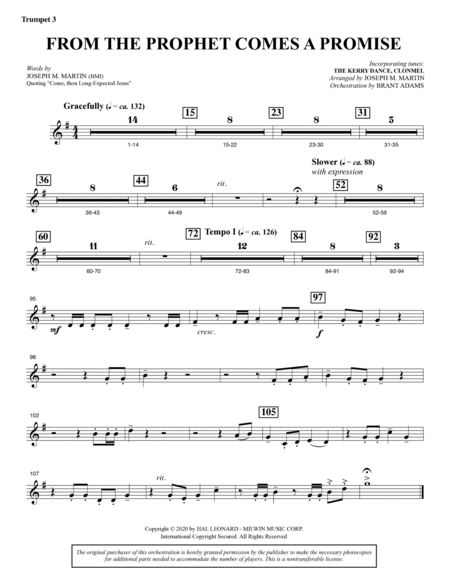 Tidings of Joy: A Celtic Christmas Celebration (Full Orchestra) - Bb Trumpet 3