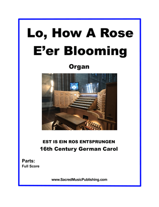 Book cover for Lo, How a Rose E’er Blooming - Organ