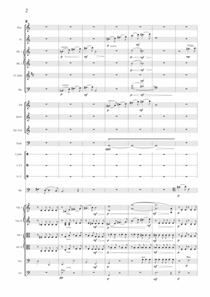 Thierry Pélicant: Concerto for Bassoon and Orchestra,orchestral score