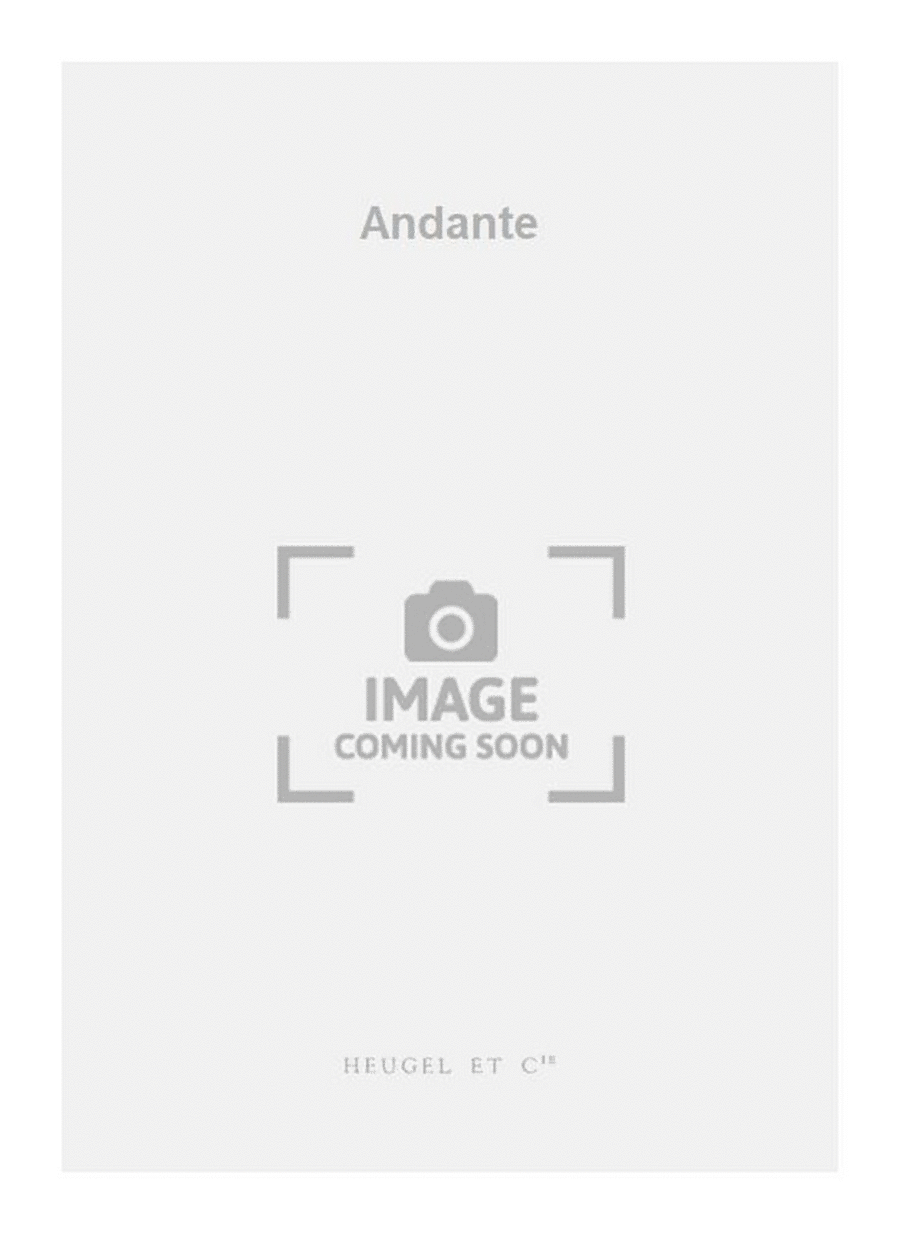 Andante Andante Orchestra scores gallery preview page 1