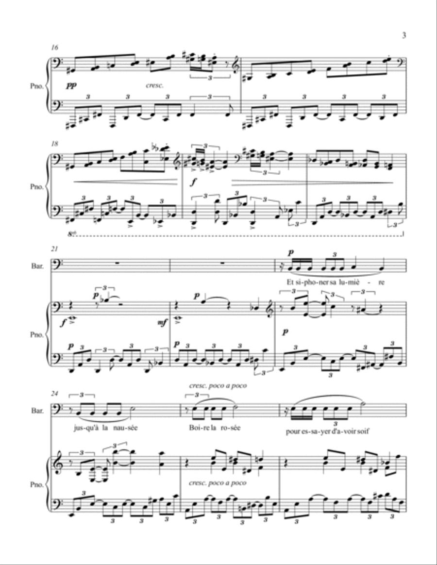 Sang d'encre (for baritone & piano) Voice Solo scores gallery preview page 3