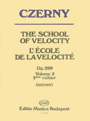 Book cover for The School Of Velocity