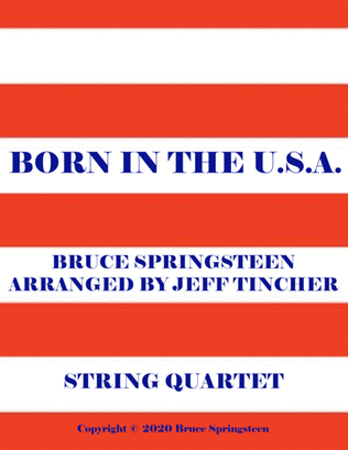Book cover for Born In The Usa