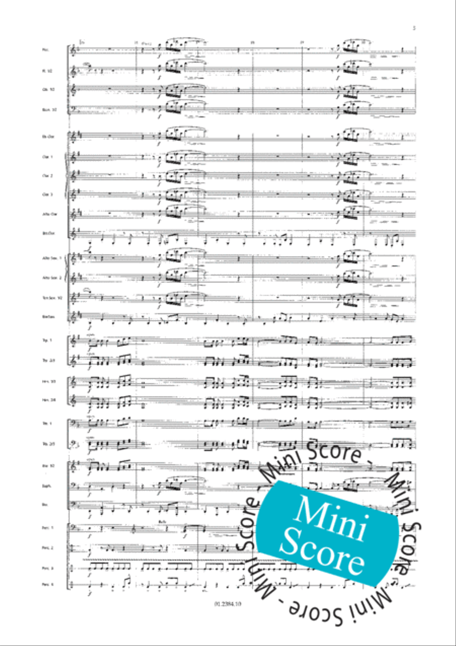 Os Passaros Do Brasil Concert Band scores gallery preview page 13