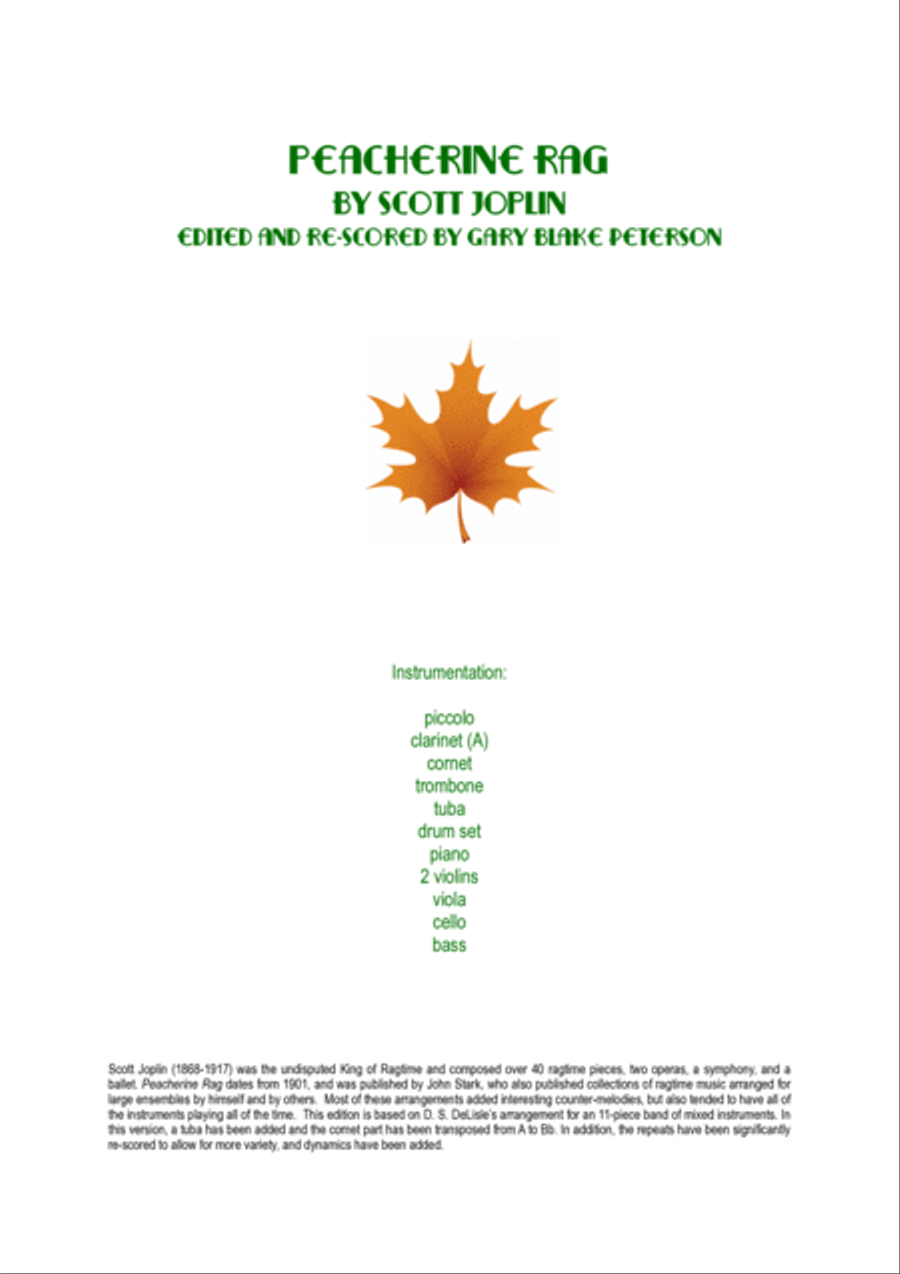 Peacherine Rag A Clarinet scores gallery preview page 2