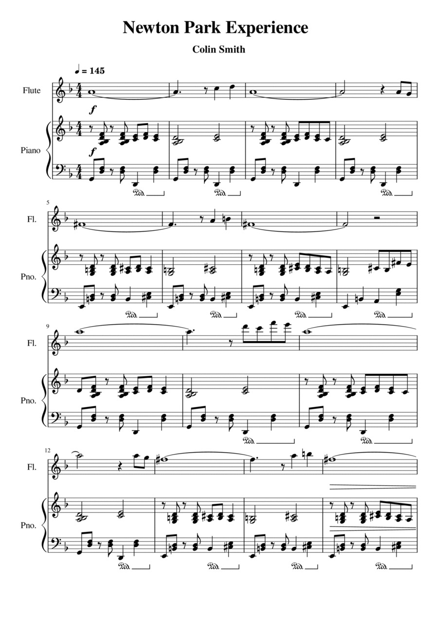 Newton Park Experience Newton Park Experience Flute Solo scores gallery preview page 1