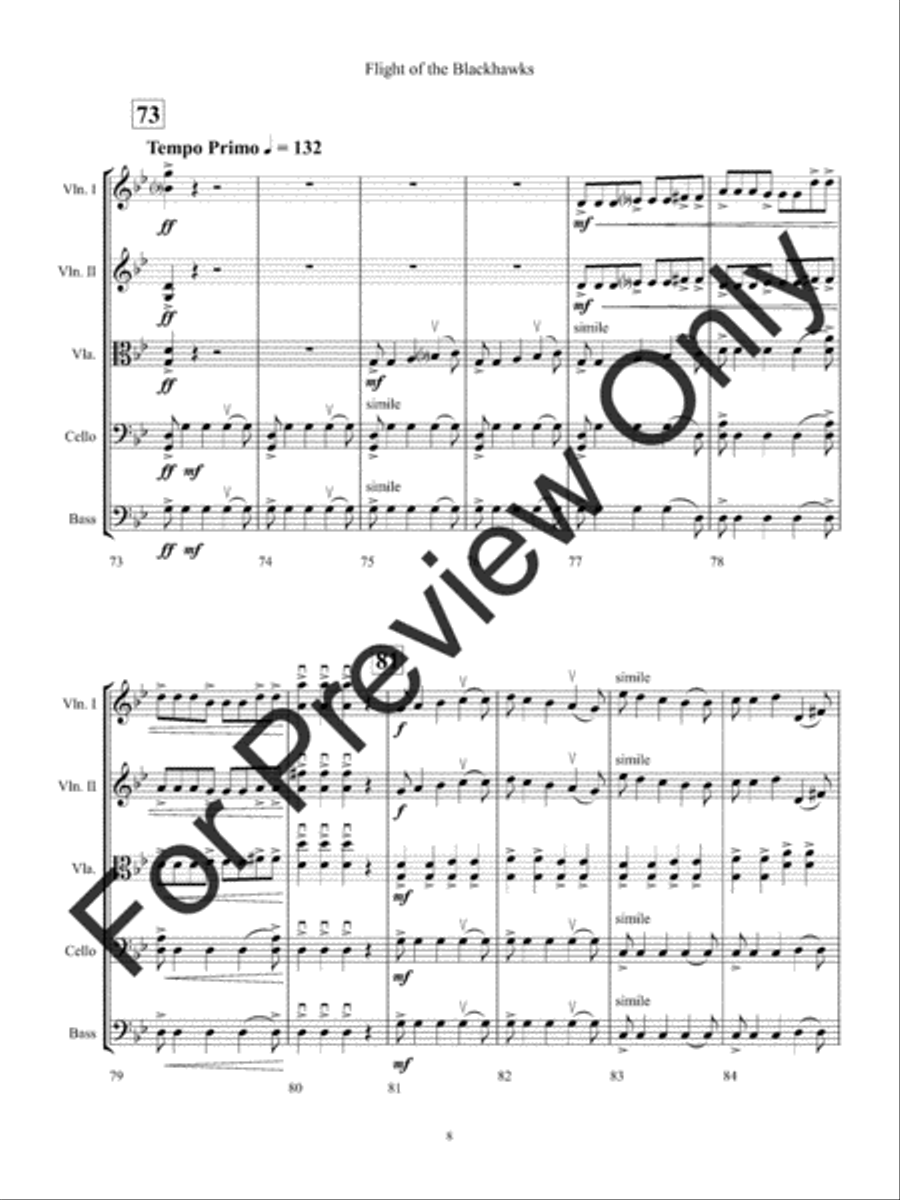 Flight of the Blackhawks Flight of the Blackhawks String Orchestra scores gallery preview page 11