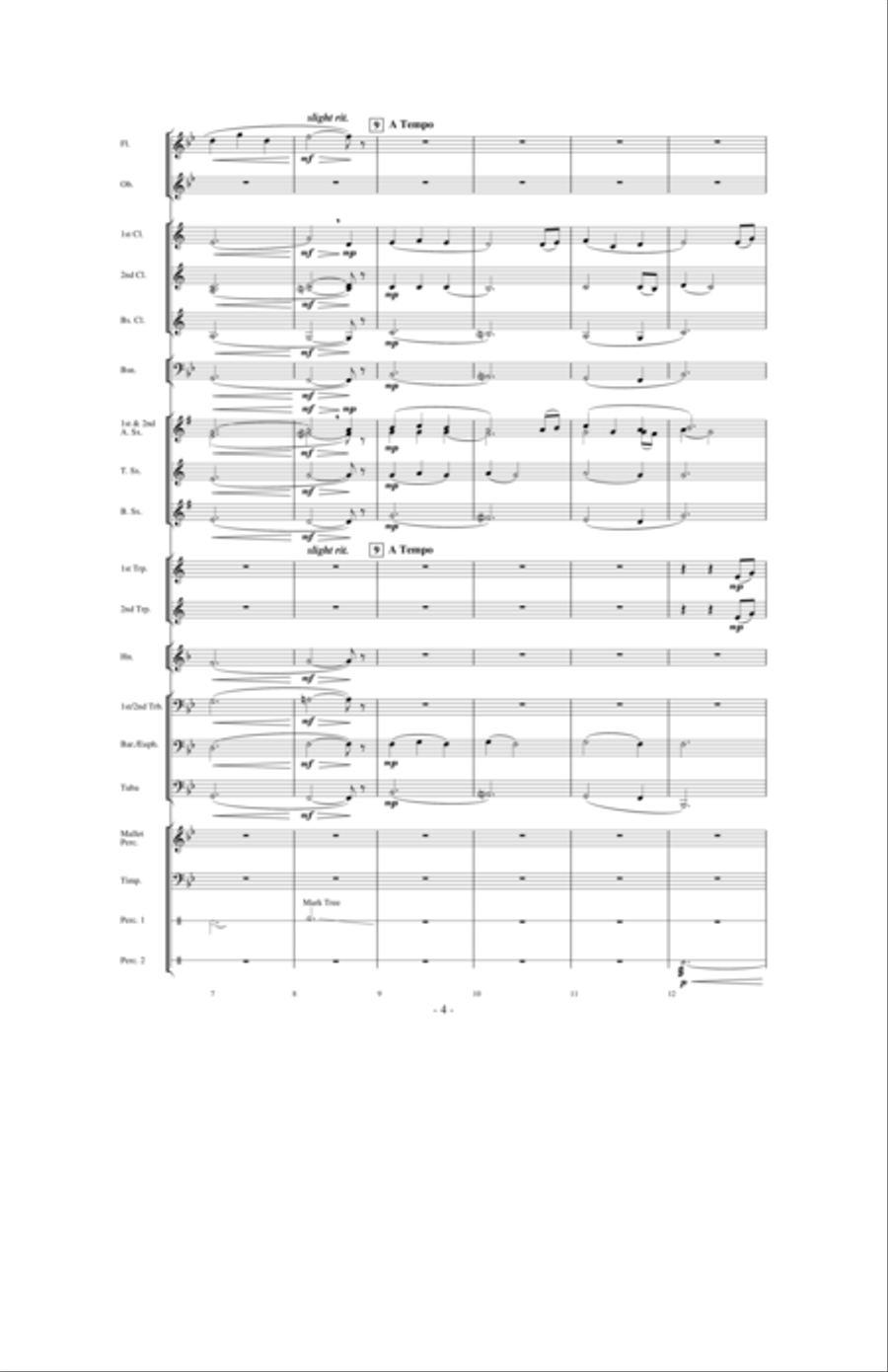The Falling Rain Concert Band scores gallery preview page 3