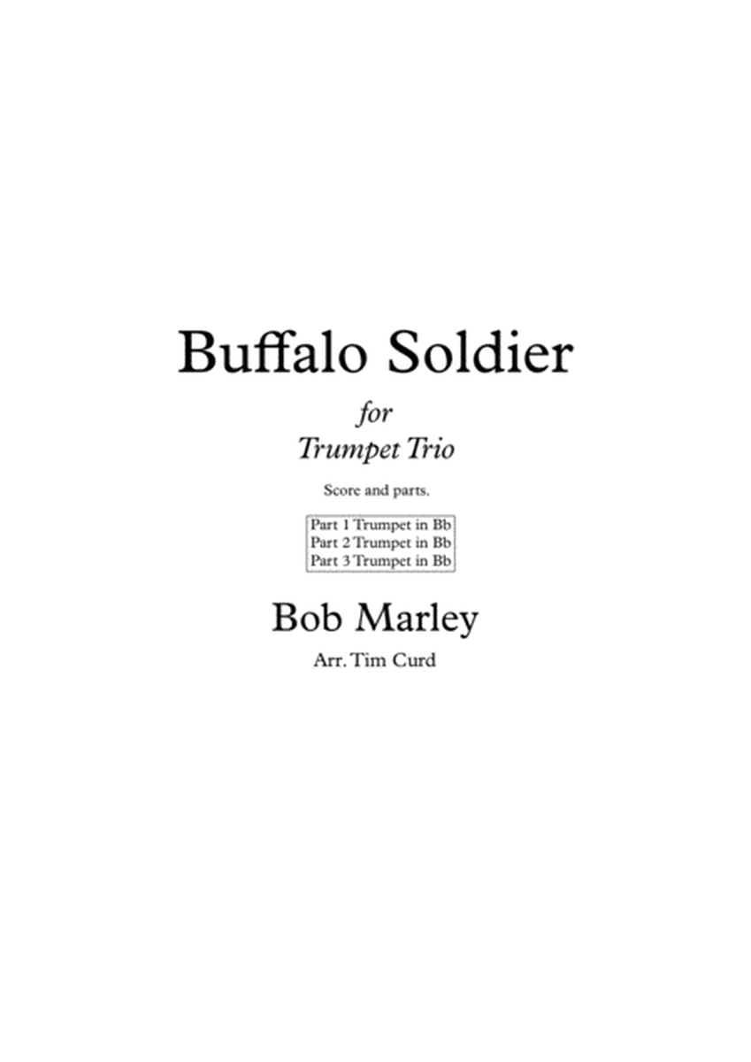 Buffalo Soldier image number null