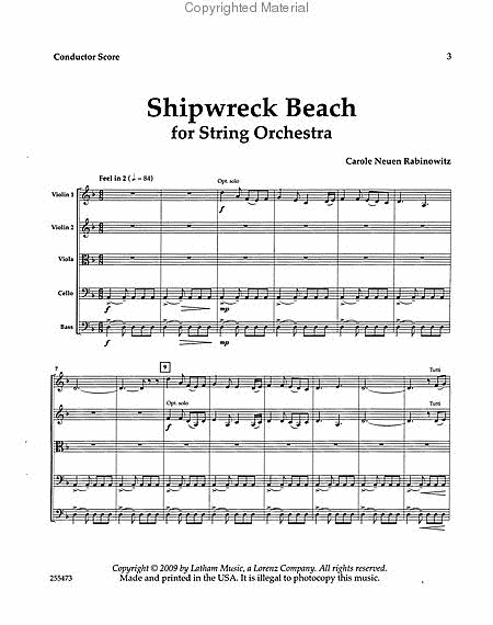 Shipwreck Beach for String Orchestra image number null