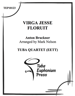 Book cover for Virga Jesse Floruit