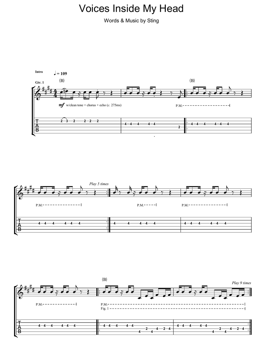 Voices Inside My Head Voices Inside My Head Acoustic Guitar scores gallery preview page 1