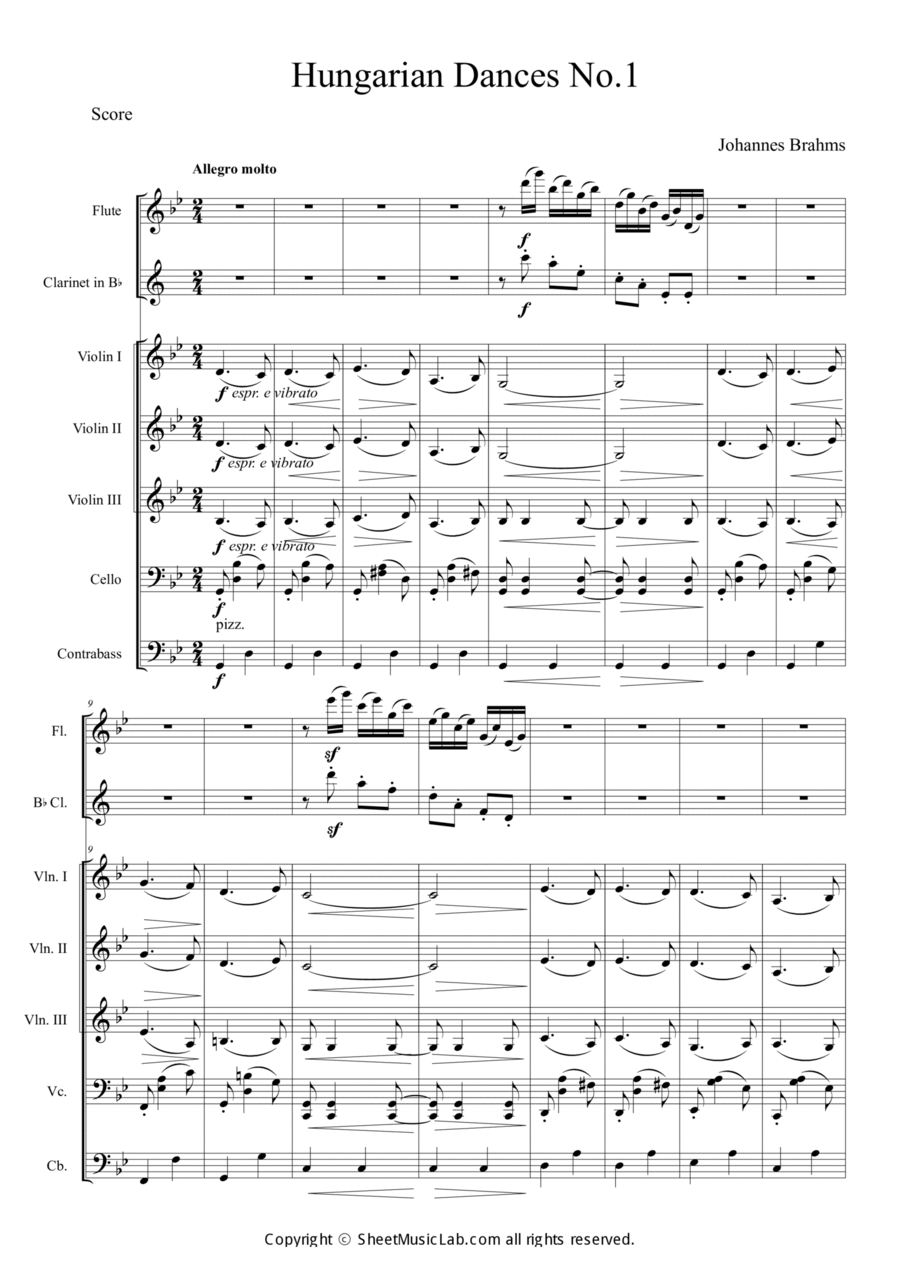 Hungarian Dances No.1 in G minor, Allegro molto Orchestra scores gallery preview page 1