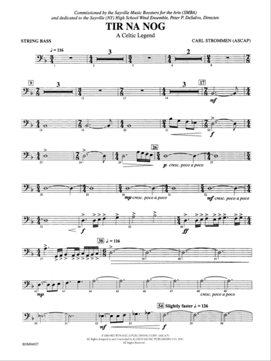 Tir Na Nog (A Celtic Legend): String Bass Concert Band scores gallery preview page 1