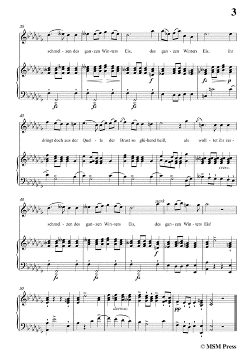 Schubert-Gefrorne Tränen,from 'Winterreise',Op.89(D.911) No.3,in a flat minor,for Voice&Piano image number null