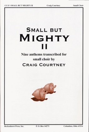 Book cover for Small But Mighty II