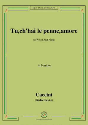Book cover for Caccini-Tu,ch'hai le penne,amore,in b minor,for Voice and Piano