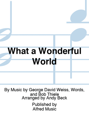 Book cover for What a Wonderful World