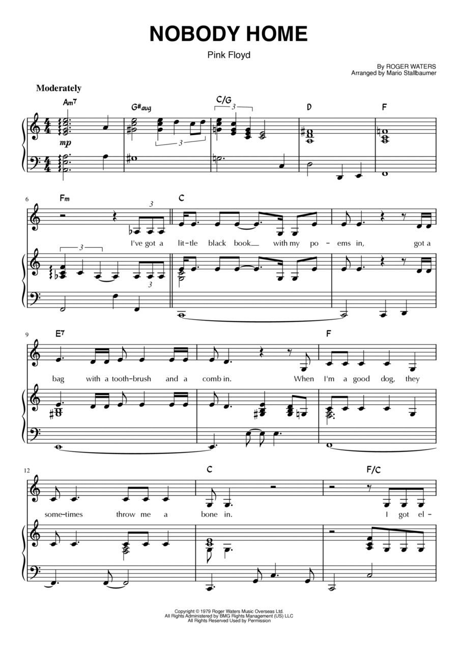 Nobody Home Piano, Vocal, Guitar scores gallery preview page 1