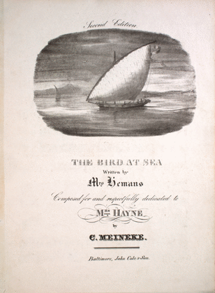 Book cover for The Bird at Sea