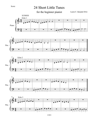 Book cover for 24 Short Little Tunes for the Beginner Pianist