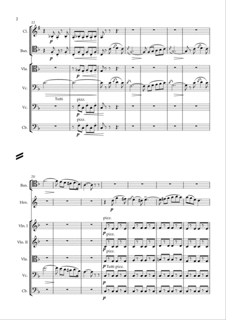 Don Pasquale - Sinfonia - arr. chamber orchestra Chamber Orchestra scores gallery preview page 2