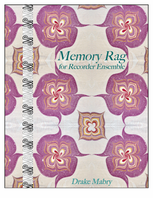 Memory Rag for recorders