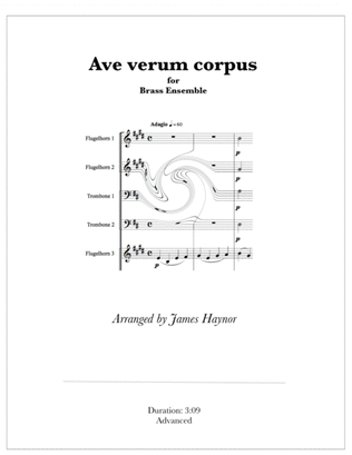 Book cover for Ave verum corpus