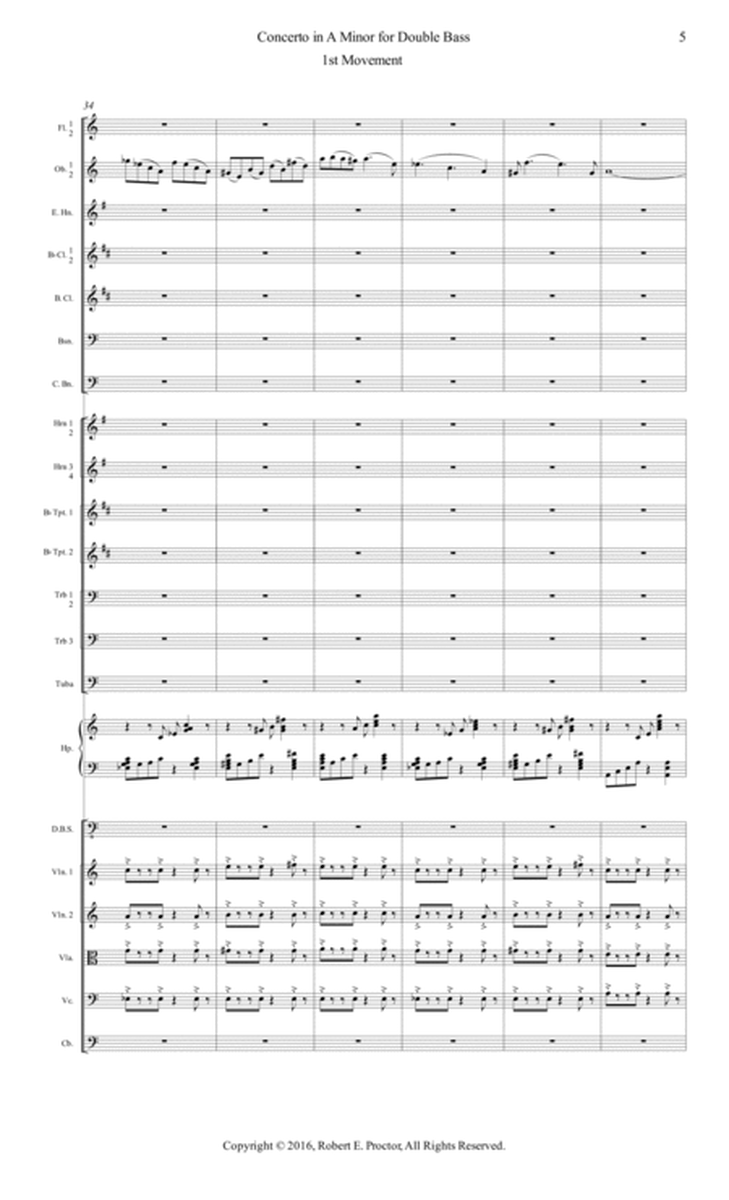 Concerto in A Minor for Double Bass and Orchestra image number null