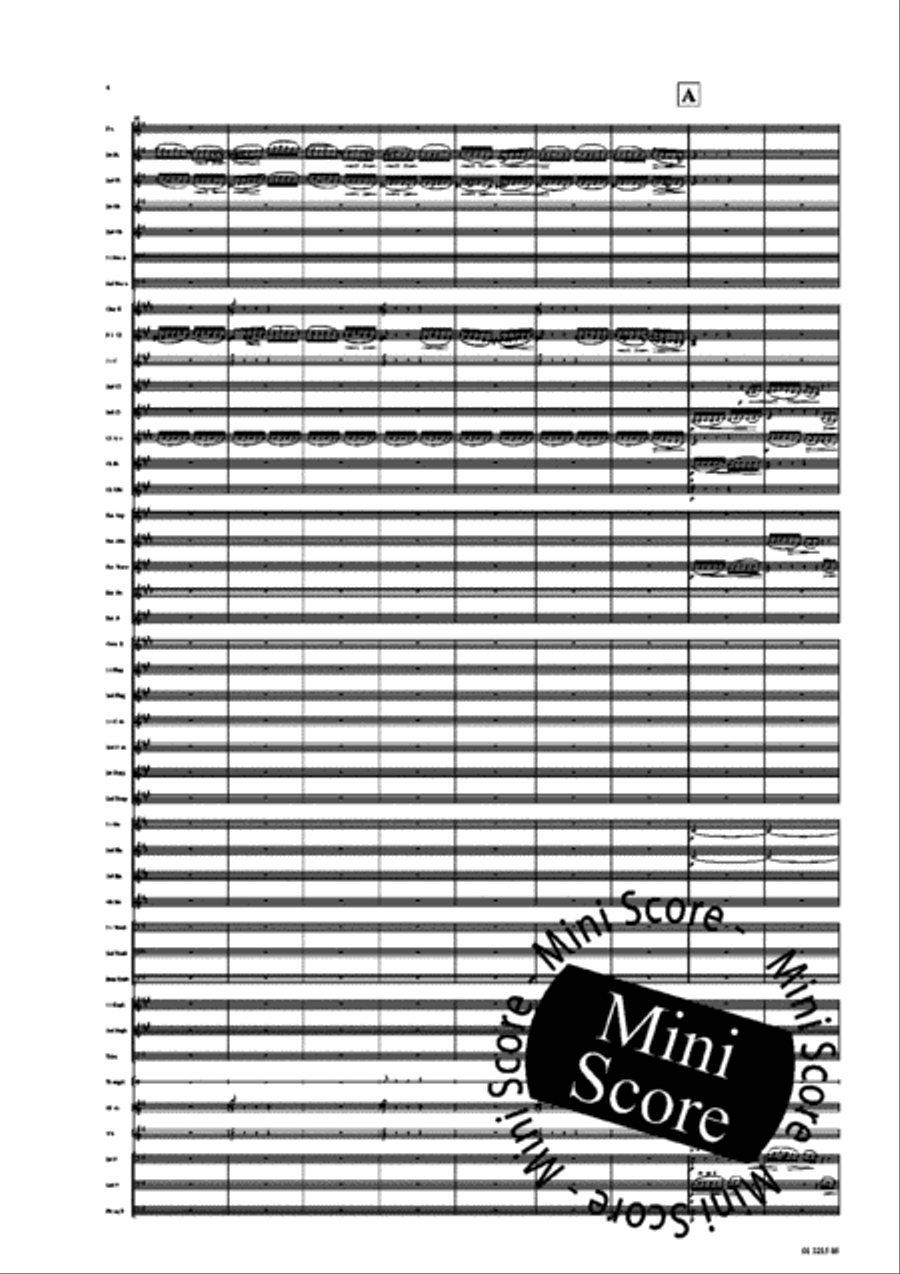 Ma Vlast Concert Band scores gallery preview page 6