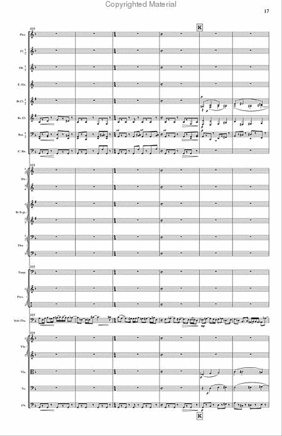 Concerto for Tuba and Orchestra Orchestra scores gallery preview page 5